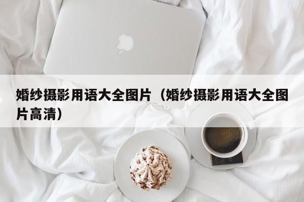 婚纱摄影用语大全图片（婚纱摄影用语大全图片高清）