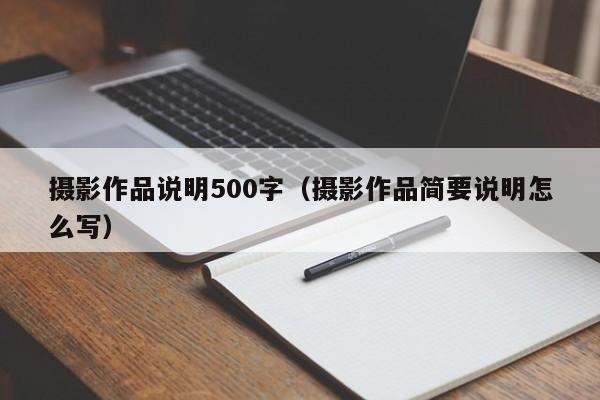 摄影作品说明500字（摄影作品简要说明怎么写）