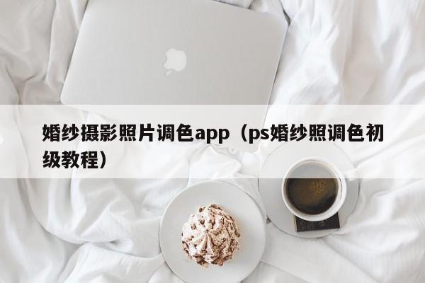 婚纱摄影照片调色app（ps婚纱照调色初级教程）