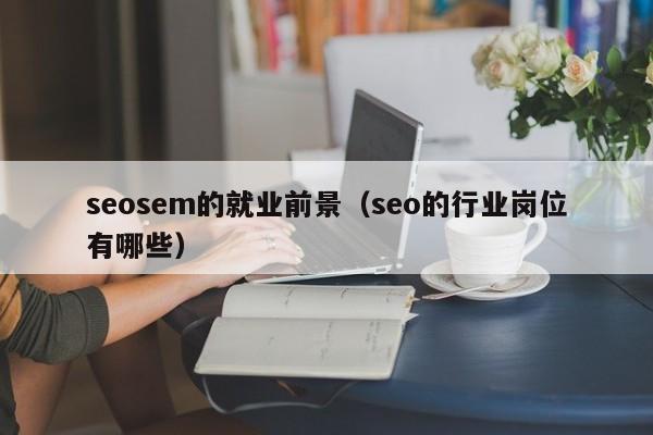 seosem的就业前景（seo的行业岗位有哪些）