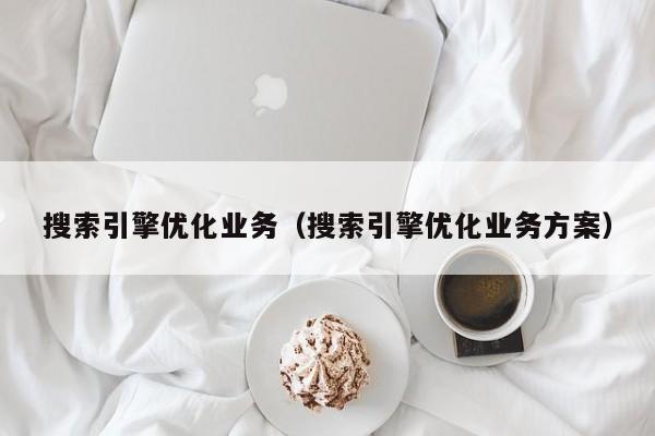 搜索引擎优化业务（搜索引擎优化业务方案）