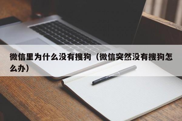 微信里为什么没有搜狗（微信突然没有搜狗怎么办）