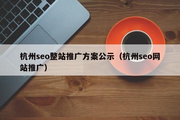 杭州seo整站推广方案公示（杭州seo网站推广）