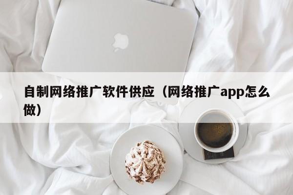 自制网络推广软件供应（网络推广app怎么做）