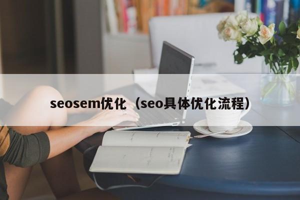 seosem优化（seo具体优化流程）