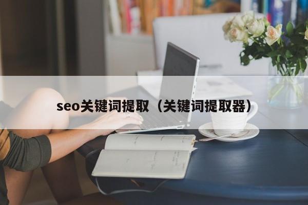 seo关键词提取（关键词提取器）