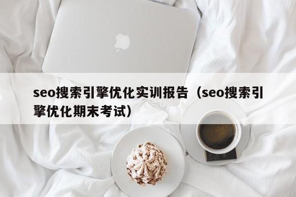 seo搜索引擎优化实训报告（seo搜索引擎优化期末考试）