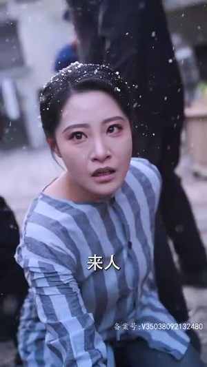 二妈的秘密（77集）短剧在线观看