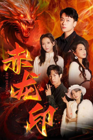 赤龙印（80集）经典回顾免费看