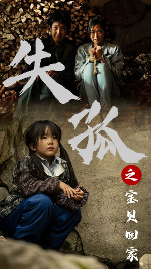 失孤之宝贝回家（71集）哪个网站可以看