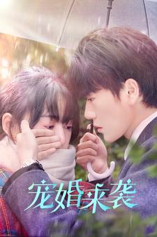 宠婚来袭（102集）贝贝短剧分享