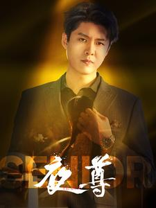夜尊（95集）熬夜追短剧