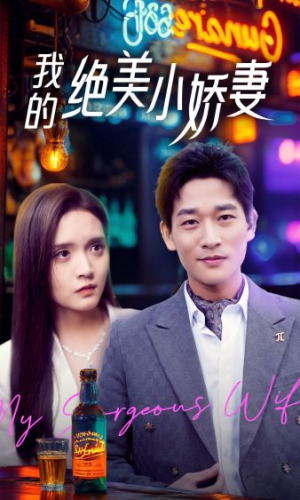 我的绝美小娇妻（80集）夸克在线观看