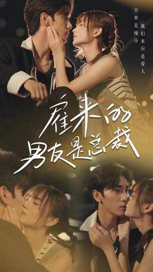 雇来的男友是总裁（50集）一共多少集