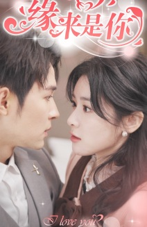 新版：缘来是你（77集）全集免费看短剧