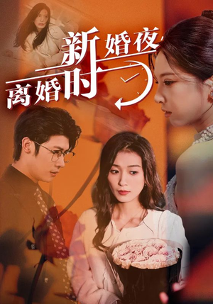 新婚夜，离婚时（35集）第二季
