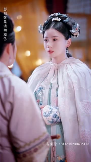 宫墙叹庶女进阶录（73集）评价怎么样