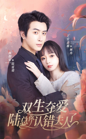 双生夺爱陆总你认错夫人了（94集）短剧演员排行榜