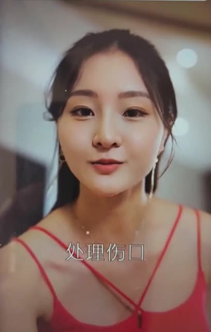 女总裁（91集）百度网盘在线看
