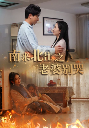 南来北往之老婆别哭（87集）免费短剧看不停