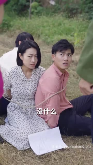 重回80年代（100集）在线免费观影