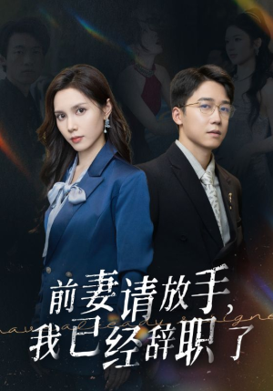 前妻请放手，我已经辞职了（30集）热门短剧大全