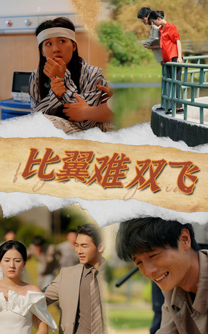 比翼难双飞（30集）夸克网盘观看