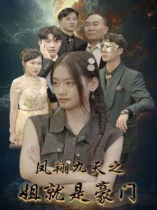 凤翔九天之姐就是豪门（33集）高清画质免费看