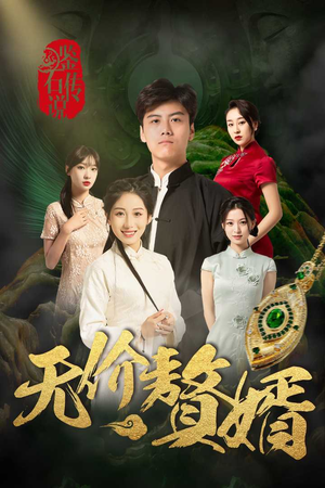 鉴宝传说之无价赘婿（100集）红果短剧免费看