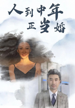 人到中年正当婚（81集）全集免费