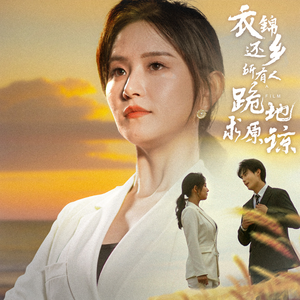 衣锦还乡，所有人跪地求原谅（40集）短剧介绍