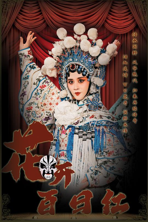 花开百日红（30集）精彩好看短剧