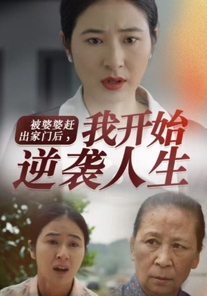 被婆婆赶出家门后我开始逆袭人生（83集）短剧追不停