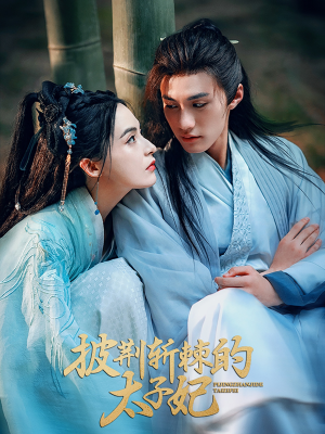 披荆斩棘的太子妃（80集）百度在线观看