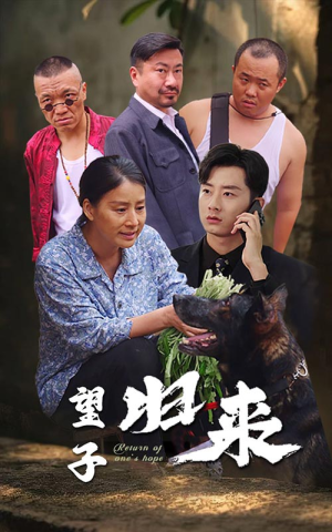 望子归来（50集）短剧精彩绝伦