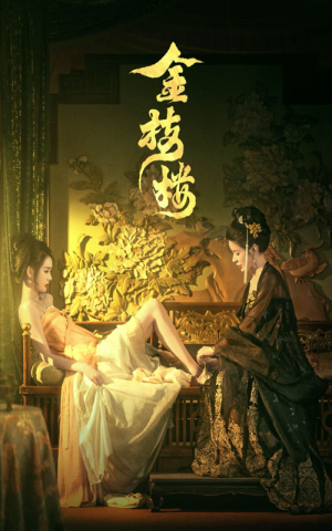 金枝楼（52集）红果免费短剧