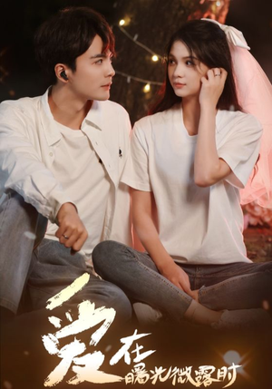爱在曙光微露时（49集）无需充值尽情看