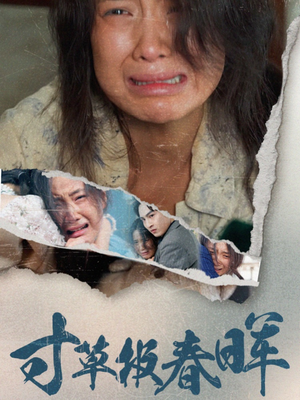 寸草报春晖（65集）女主谁演的