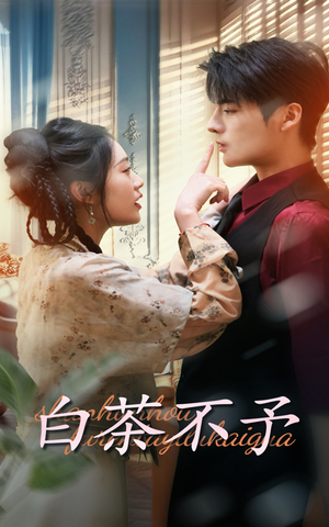 白茶不予（68集）免费在线看全集