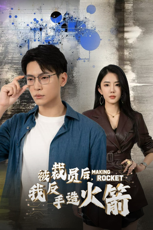 被裁员后，我反手造火箭（30集）去哪里看