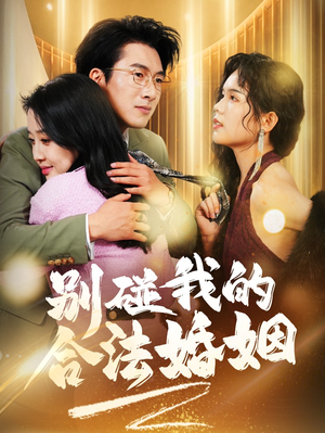 别碰我的合法婚姻（30集）免费全集短剧
