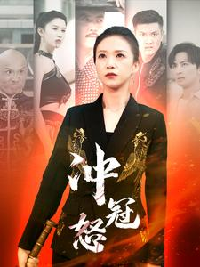 冲冠怒（93集）第32集
