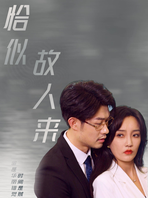 恰似故人来（79集）每日短剧追不停