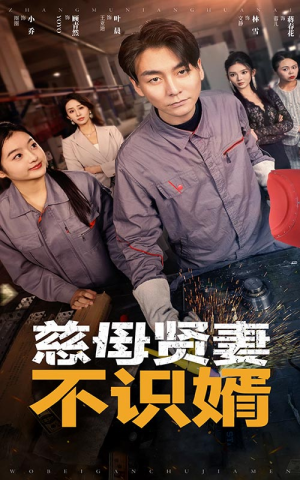 慈母贤妻不识婿（45集）男主角是谁