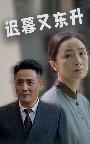 迟暮又东升（35集）UC网盘在线看