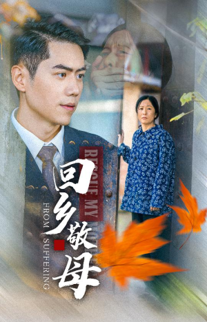 回乡敬母（43集）在线观看全集