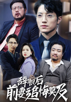 辞职后前妻追悔莫及（30集）短剧小说在线看