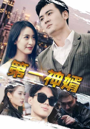 第一神婿（110集）热门短剧在线看