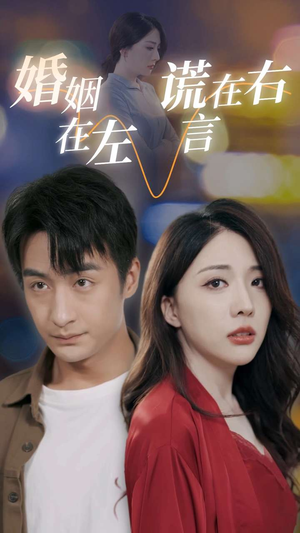 婚姻在左谎言在右（79集）看到了大结局