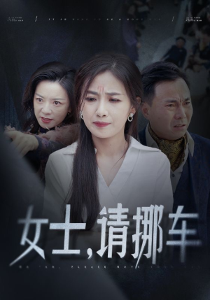 善门难开（29集）全集免费